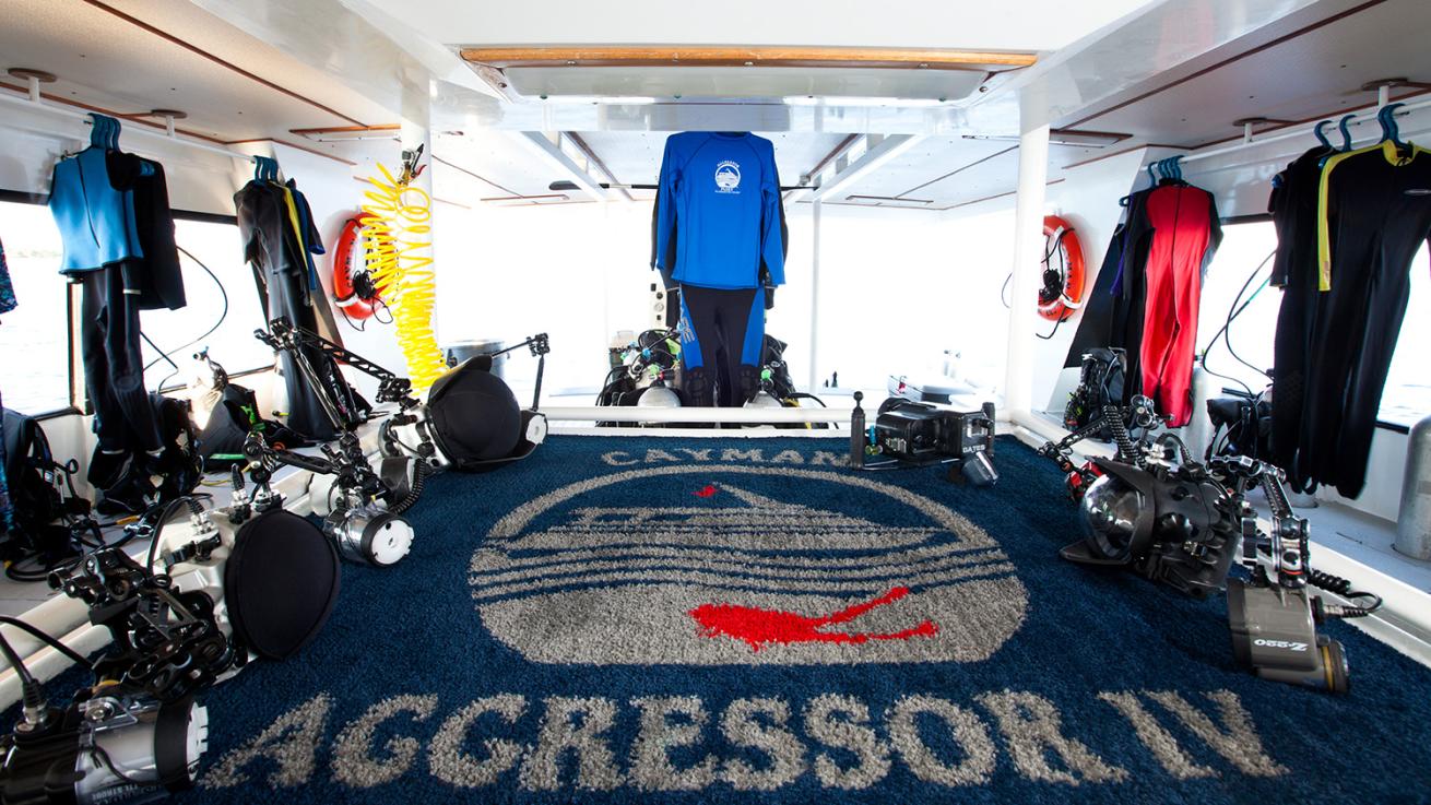 aggressor liveaboard vacations