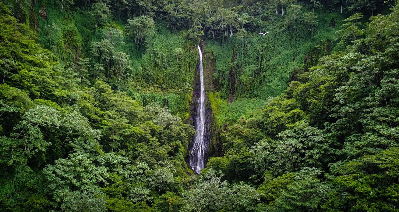 Visiting Jurassic Park is in Cocos Island Marine Park, Costa Rica.