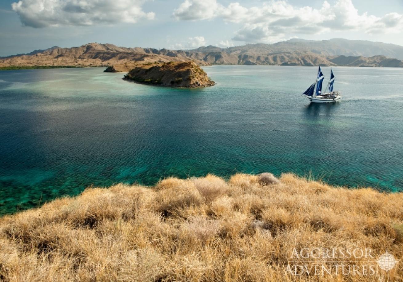 A sailboat in the water