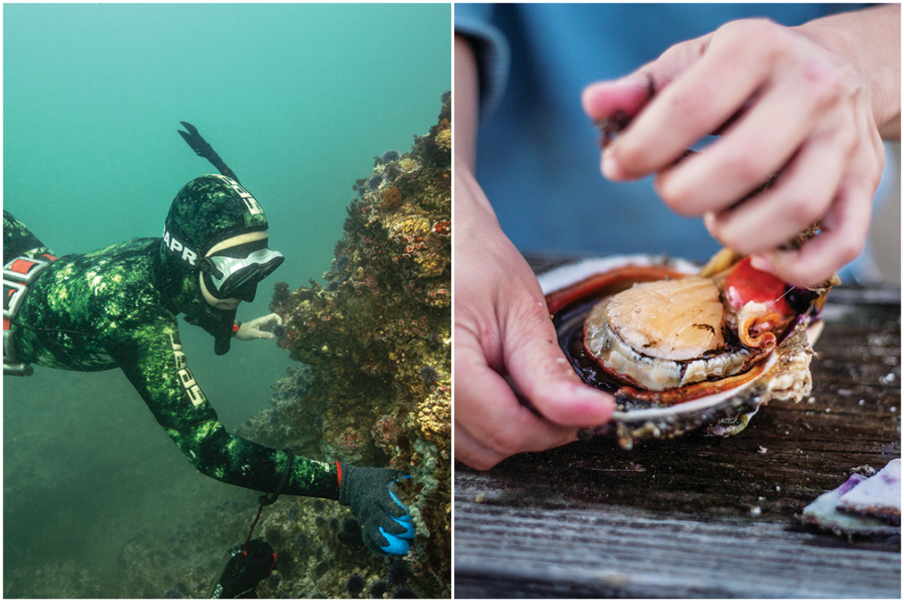 Scalloping